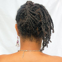 Curly Twist Natural Hairstyle - Back View