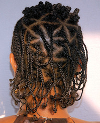 Natural Braids Hairstyle