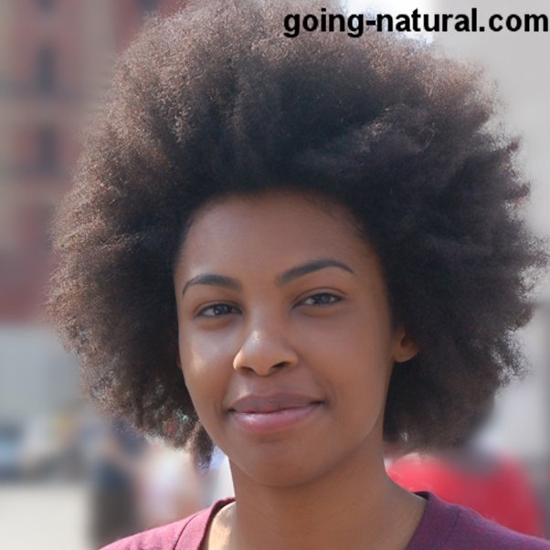 Big Afro Natural HairStyle at BAM Festival