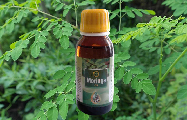 moringa oil health