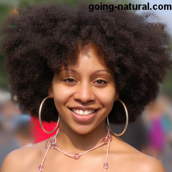 Beautiful Natural Afro Hair Style at the BAM Festival