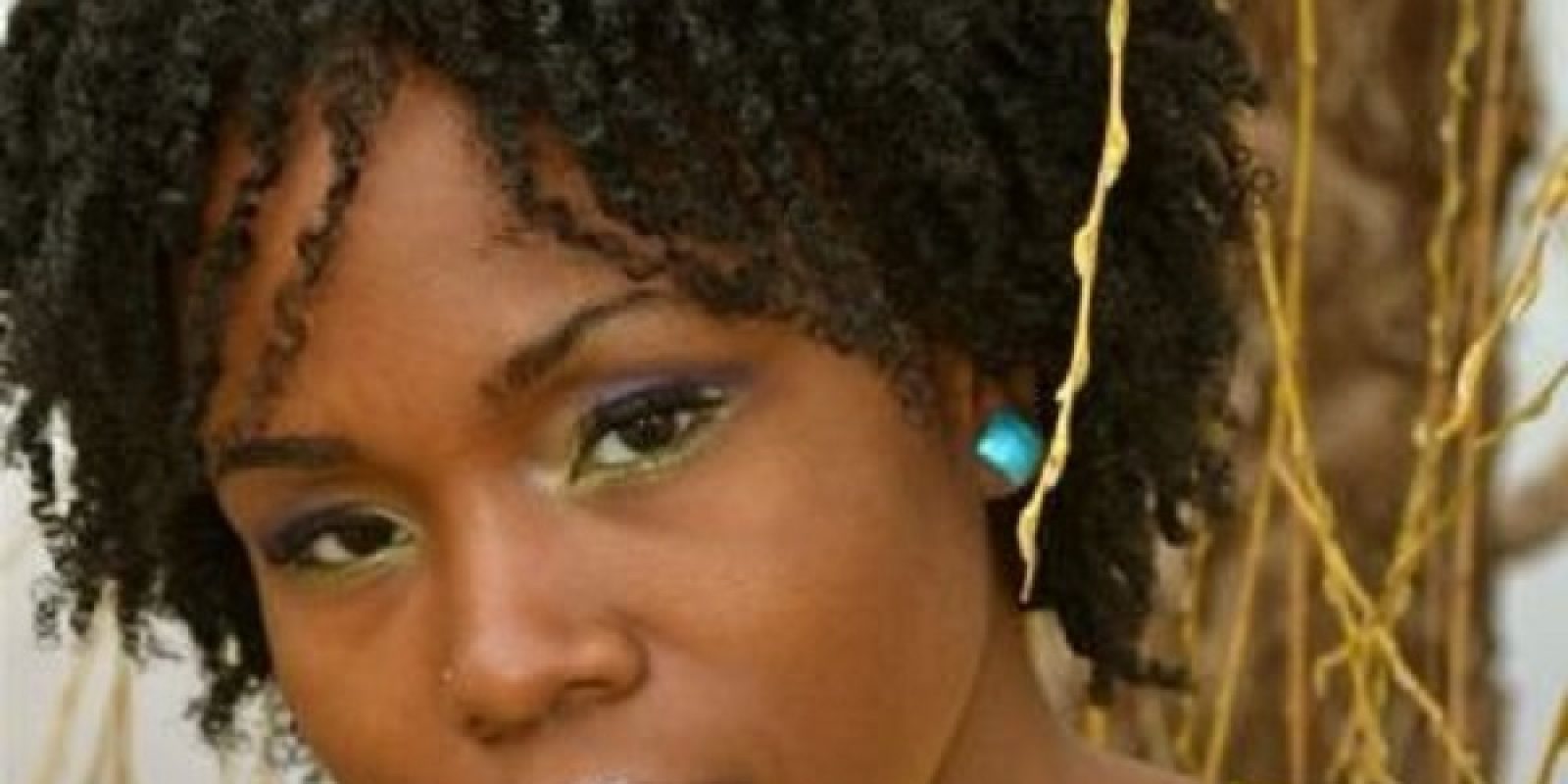 Nina Ellis Hervey - Curl Definition! Doodles Teri LaFlesh style with Going Natural Hair Products