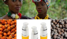 Gifts from the Diaspora